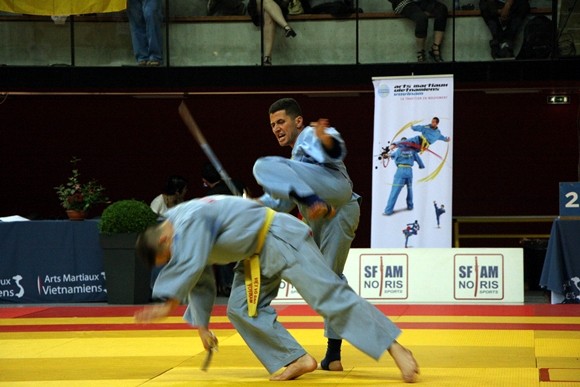 Vietnam finishes first at World Vovinam Champions - ảnh 1